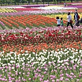 _MG_9758_副本.jpg