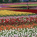 _MG_9760_副本.jpg