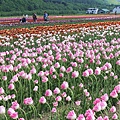 _MG_9813_副本.jpg