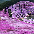 _MG_9443_副本.jpg
