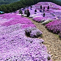 _MG_9475_副本.jpg