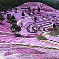 _MG_9490_副本.jpg
