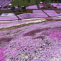 _MG_9492_副本.jpg