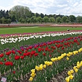 DSC09644_副本.jpg