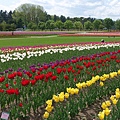 DSC09644_副本1.jpg