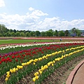 DSC09644_副本2.jpg