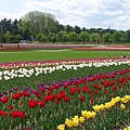 DSC09645_副本.jpg