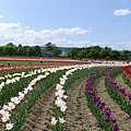 DSC09646_副本.jpg