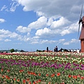 DSC09648_副本.jpg
