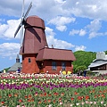 DSC09649_副本.jpg