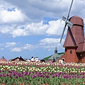 DSC09650_副本.jpg