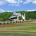 DSC09653_副本.jpg