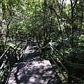 _MG_0095_副本1.jpg