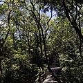 _MG_0096_副本1.jpg