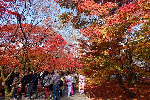 16日本狩楓之旅 京都大本山 東福寺 通天橋紅葉第一名所 費甌娜の綺麗世界 痞客邦 16日本狩楓之旅 京都大本山 東福寺 通天橋紅葉第一名所 費甌娜の綺麗世界 痞客邦