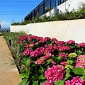 DSC01499_.jpg
