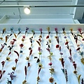 DSC01550_.jpg