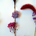 DSC01551_.jpg