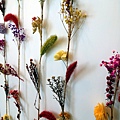 DSC01552_.jpg