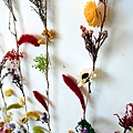 DSC01553_.jpg