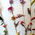 DSC01554_.jpg