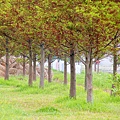 _MG_3313_.jpg