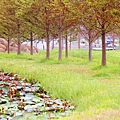 _MG_3318_.jpg