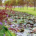 _MG_3320_.jpg