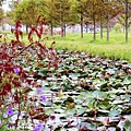 _MG_3321_.jpg