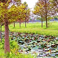 _MG_3340_.jpg