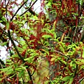 _MG_3350_.jpg