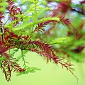 _MG_3356_.jpg