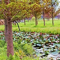 _MG_3384_.jpg