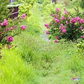 _MG_3393_.jpg