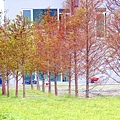 _MG_3406_.jpg