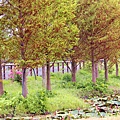_MG_3415_.jpg
