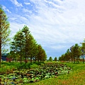 DSC03346_.jpg