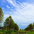 DSC03347_.jpg