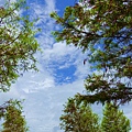 DSC03349_.jpg