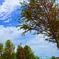 DSC03352_.jpg
