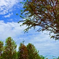 DSC03352_1.jpg
