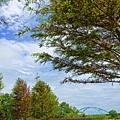 DSC03354_.jpg