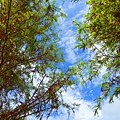 DSC03356_.jpg