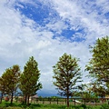 DSC03357_.jpg