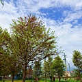 DSC03359_.jpg