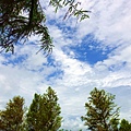 DSC03361_.jpg