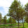 DSC03364_.jpg
