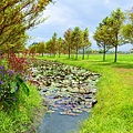 DSC03368_.jpg