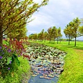 DSC03369_.jpg