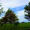 DSC03400_.jpg